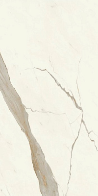 Marvel X Calacatta Sublime Matt 60×120