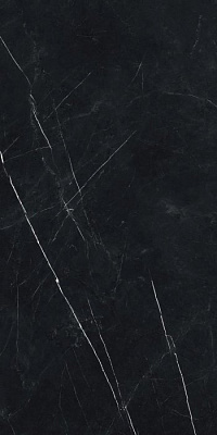 Forte Dei Marmi Elegant Black Cerato 60×120