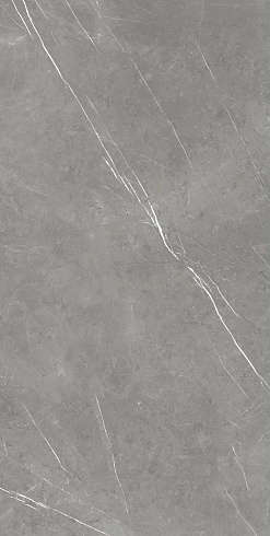 Forte Dei Marmi Elegant Grey Mat Rett 80×160