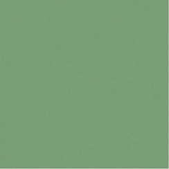 Pixel41 Frog Mat 11.5x11.5