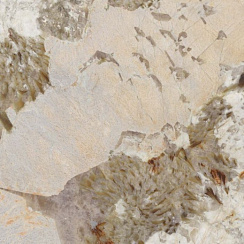 Sensi Nuance Patagonia Wow Lux 120×120