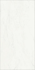 Charme Deluxe Bianco Michelangelo Cerato 60х120