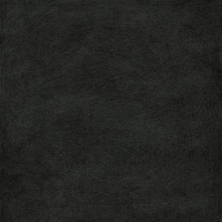 Seta Liquorice 3,5 mm 100×300