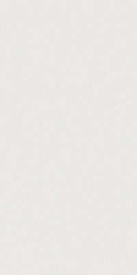 Superclassica SCW Flamed 60×120