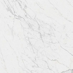 Marvel XL Calacatta Extra Lapp 120х120