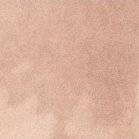 Kasbah Taco Orchard Pink Gloss 3.4×3.4