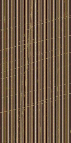 Trex DK 12N LP 60×120