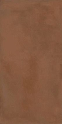 Terra 12R RM 60х120