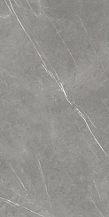 Forte Dei Marmi Elegant Grey Mat Rett 80×160