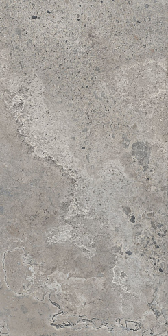 Pietra Viva Grey Nat R 60×120