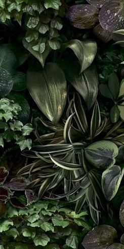 Paper Pro Jane B 50x100