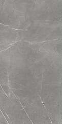 Forte Dei Marmi Elegant Grey Cerato 60×120