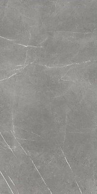 Forte Dei Marmi Elegant Grey Cerato 60×120