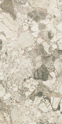 Forte Dei Marmi Ceppo Apuano Cream Mat 80×160