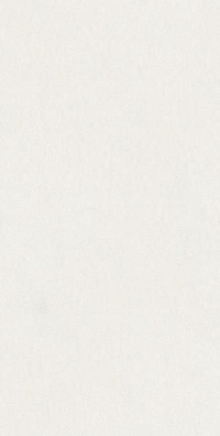 Superclassica SCW Hammered 60×120