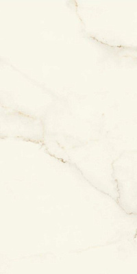 Marvel X Calacatta Apuano 60x120