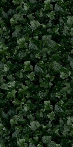 Paper Pro Jane E 50x100