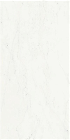 Charme Deluxe Bianco Michelangelo Cerato 60х120